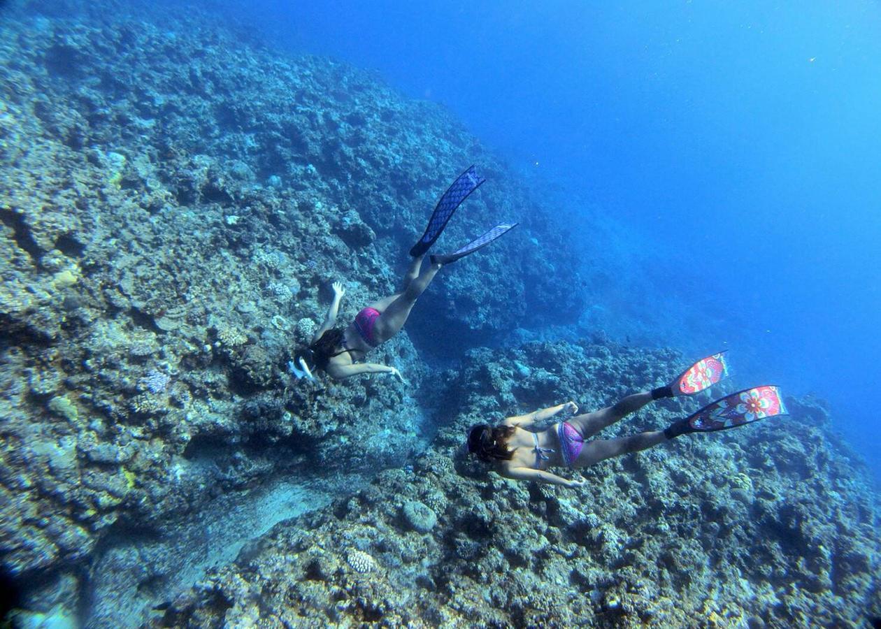 ホテル 石垣島サンフラワーハウス 石垣市 エクステリア 写真