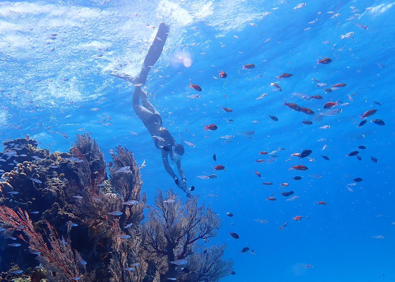 ホテル 石垣島サンフラワーハウス 石垣市 エクステリア 写真